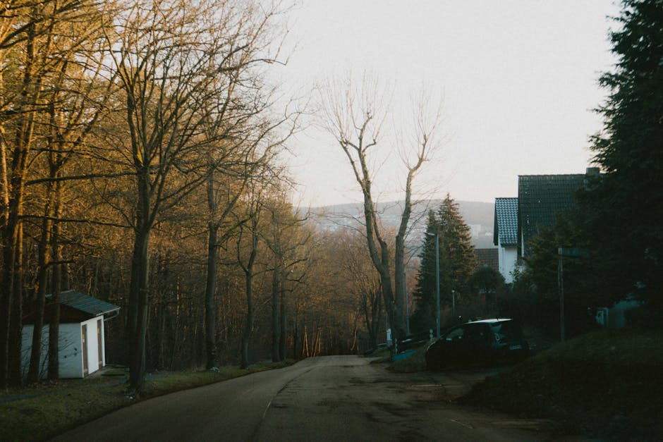 A serene street scene in Bad Hersfeld, Germany captured during sunset.